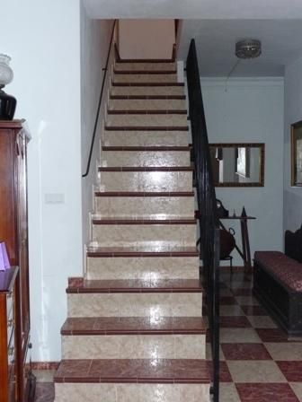 Casa Albero