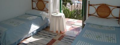 Casa Albero