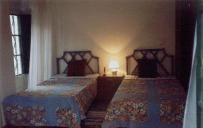 Casa Albero