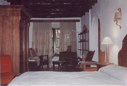 Casa Albero