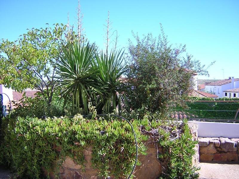 Casa Rural El Molino