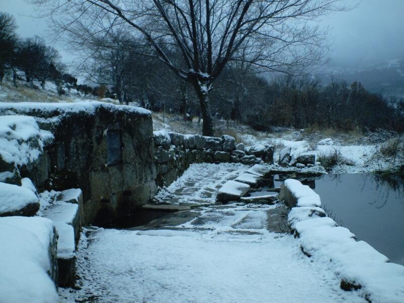 La Morada Del Musgosu