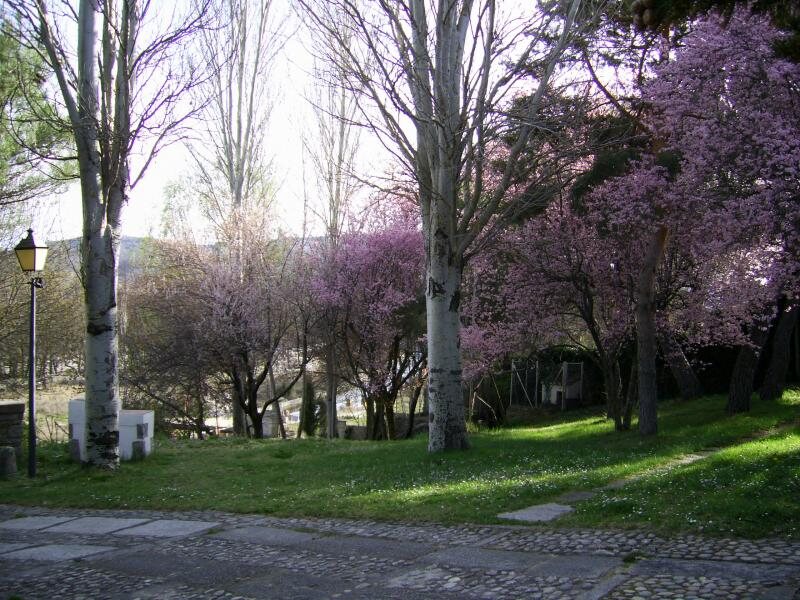 Peña Gorda