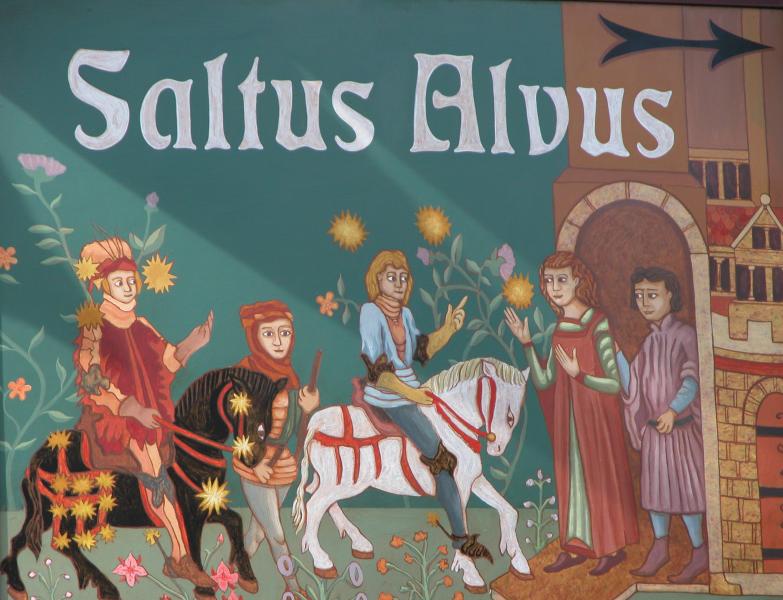 Saltus Alvus