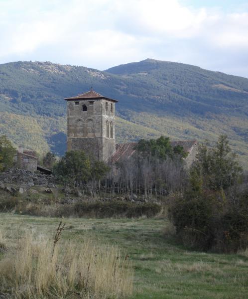 Saltus Alvus