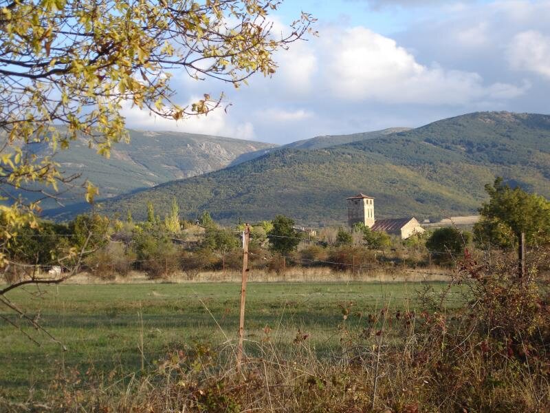 Saltus Alvus