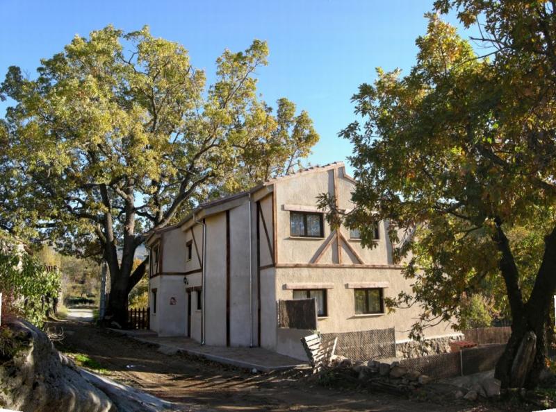 Roble Mocho