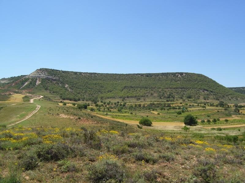 La Bodega Del Abuelo