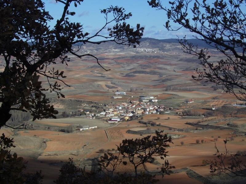 La Bodega Del Abuelo