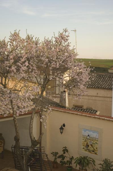 La Barraca De Culón
