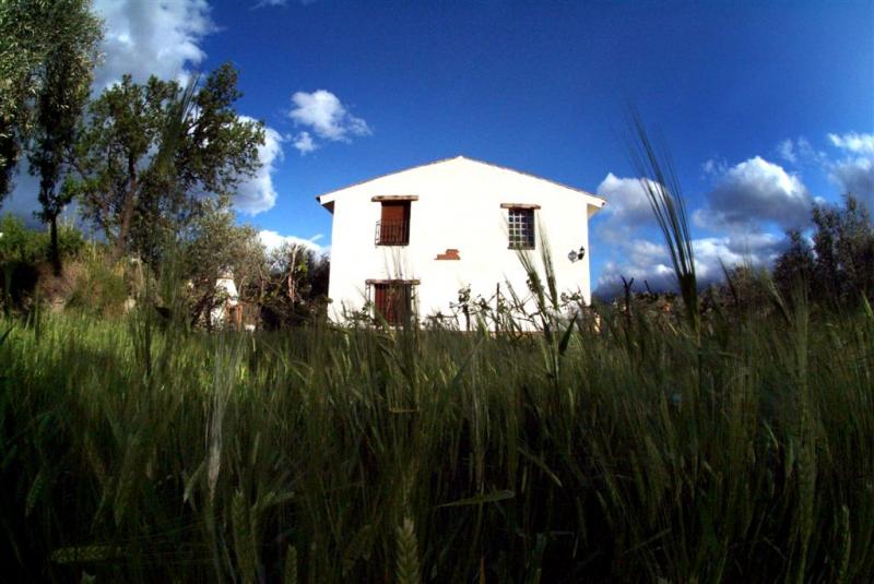 Las Paratas Del Faz