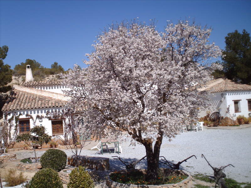 Cuevas La Teja