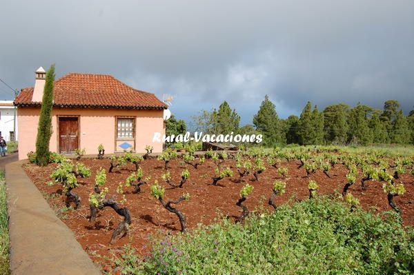 Casa Las Riquelas