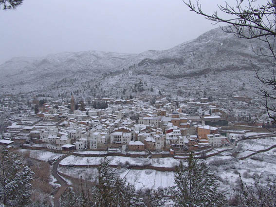 CASA MAYOR