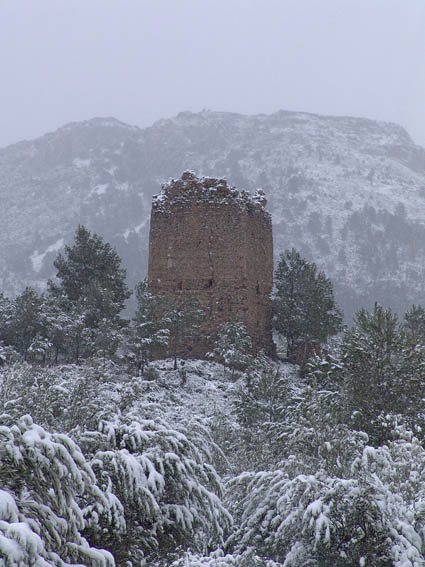 CASA MAYOR