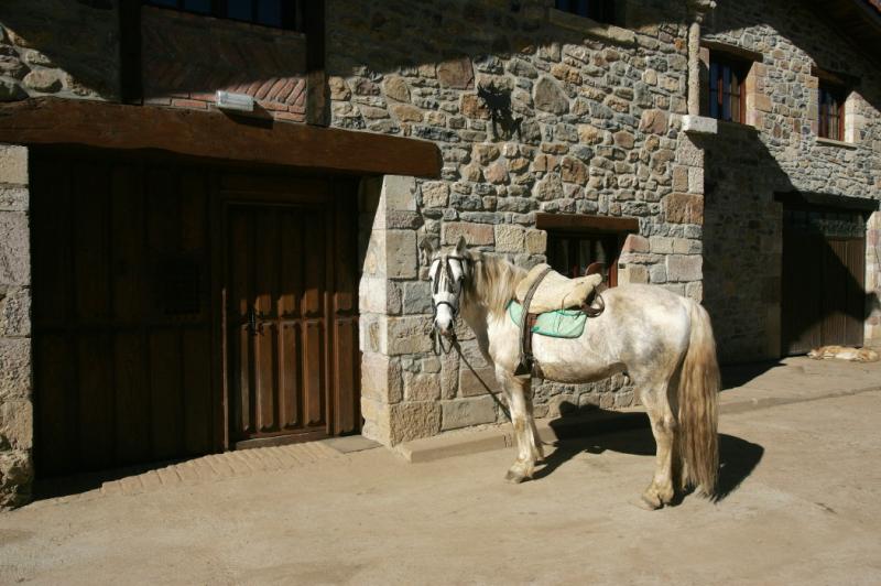 La Camarga