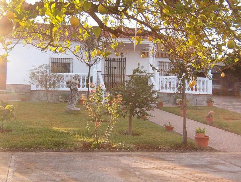 El Patio