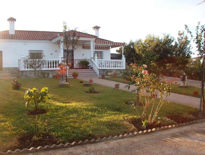 El Patio