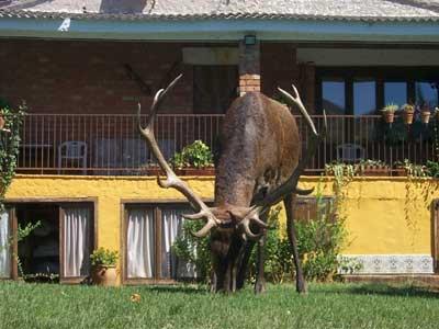 Casa Rural Los Galápagos