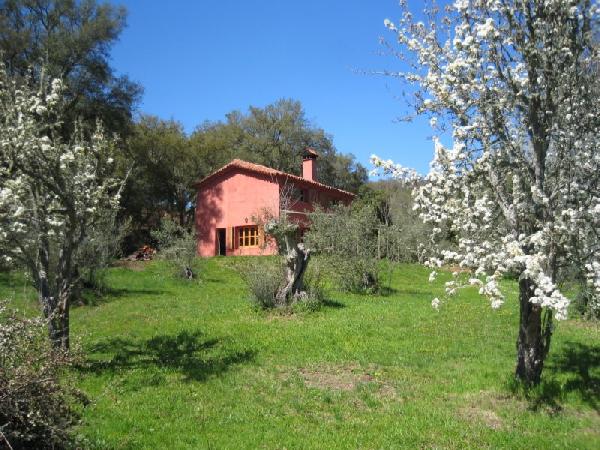 Casa Roja Huerta Montemateo
