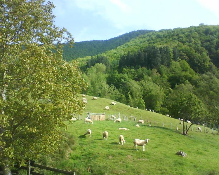 Viviendas Rurales La Hornera