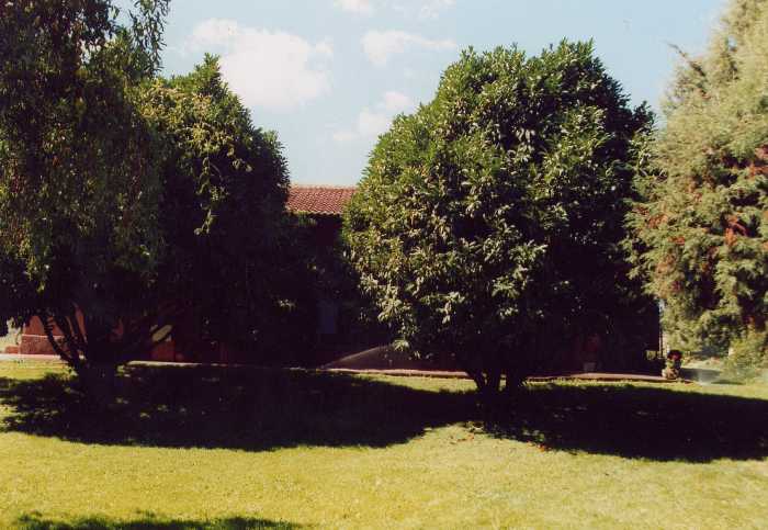 Fauna I y II