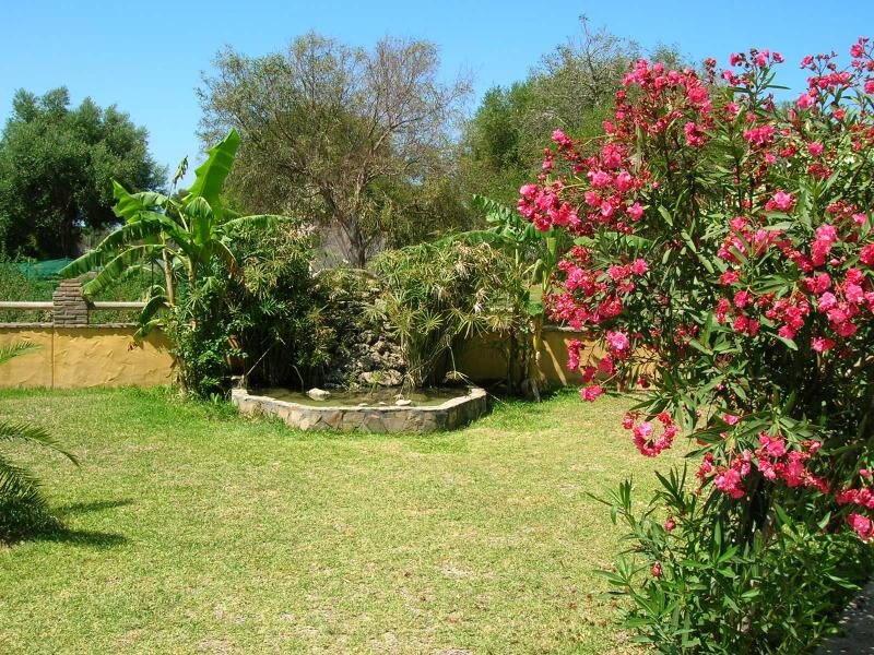 Casas Rurales Los Pinos