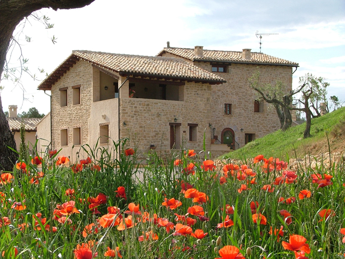 Hotel Mas Del Rei