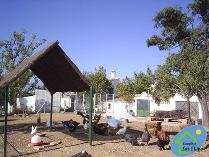 Complejo Cortijo Los Llanos