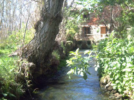 Molino Del Marqués