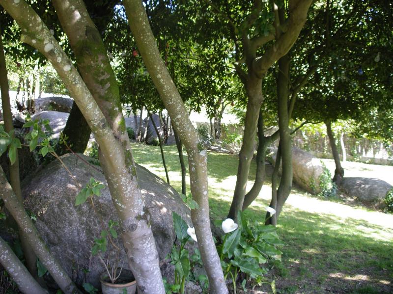 Casa Rural Granxa Do Rial