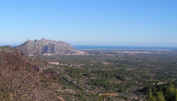 El Llaurador