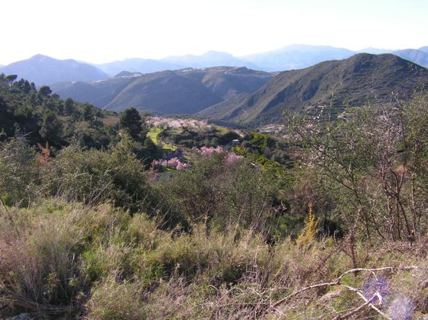 El Llaurador