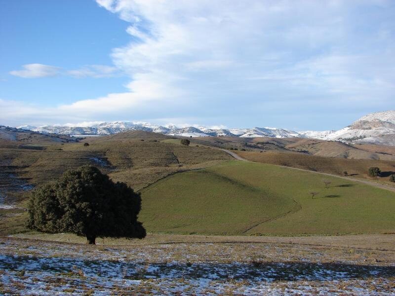 Cortijo Leontino