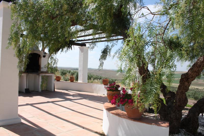 Finca Los Castellares
