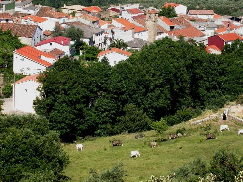 Casas Rurales Manolo