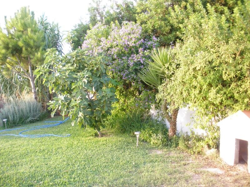 El Mirador Del Mirlo