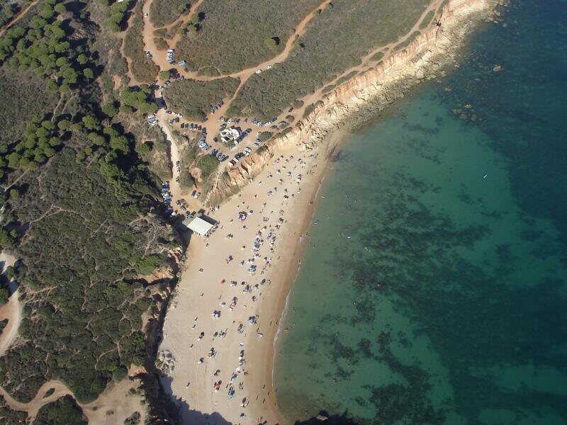 El Mirador Del Mirlo