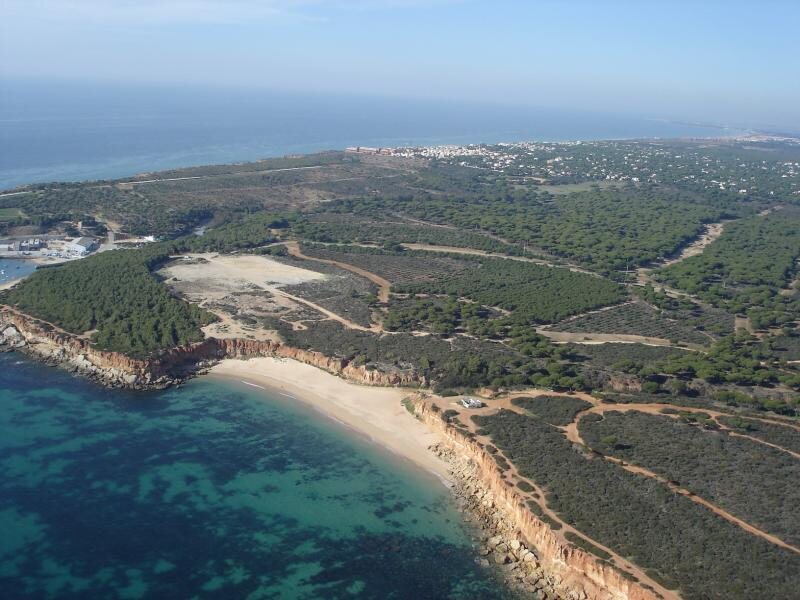 El Mirador Del Mirlo