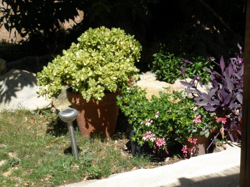 El Mirador Del Mirlo