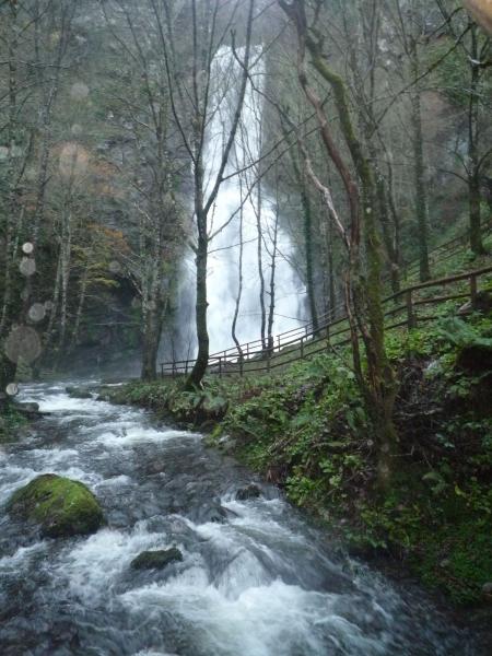 Los Molinos De Rosario