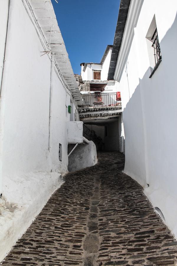 La Oveja Verde