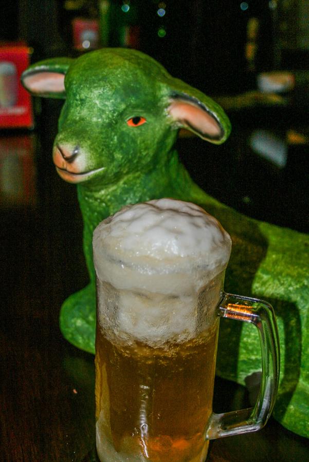 La Oveja Verde