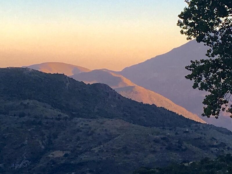 La Oveja Verde