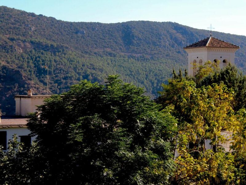 La Oveja Verde