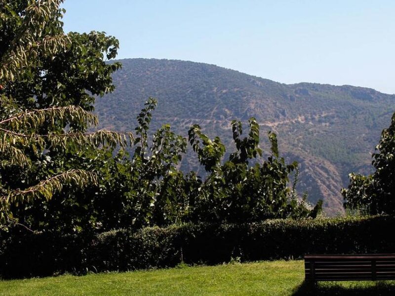 La Oveja Verde