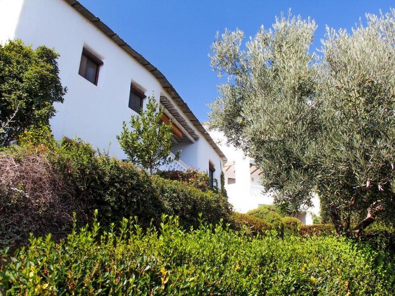 La Oveja Verde