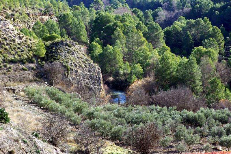 Casas Rurales Rio Segura