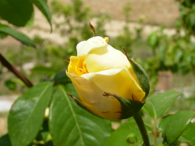 Casa Catherine