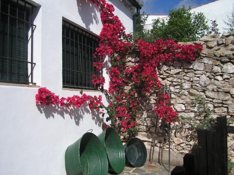 Casa Adriano